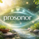 Prosonor: The New Frontier in Personalized Wellness Solutions